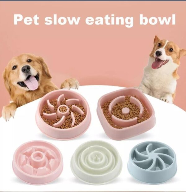 Pet Bowls and Feeders