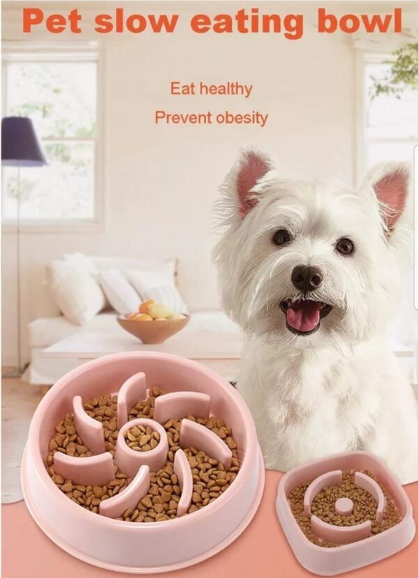 Pet Bowls and Feeders - Image 3