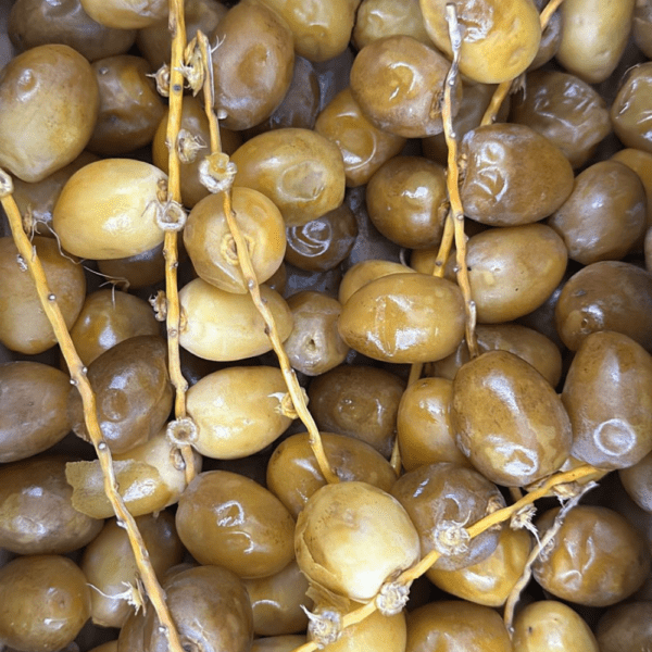 Fresh dates