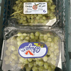 Iran Grapes