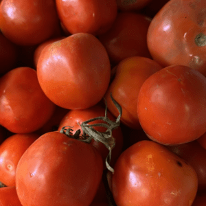 Iran Tomato