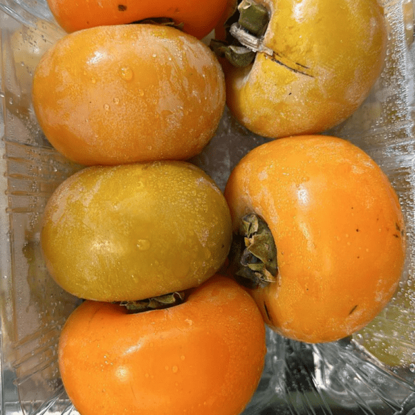 Iran Persimmon