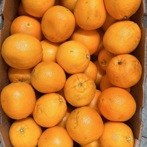 Navel Orange