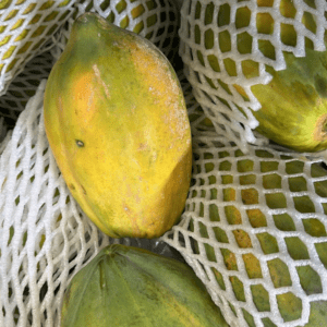 Sri Lanka Papaya