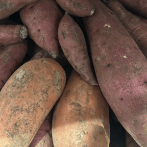 Sweet Potato