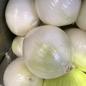 White Onion