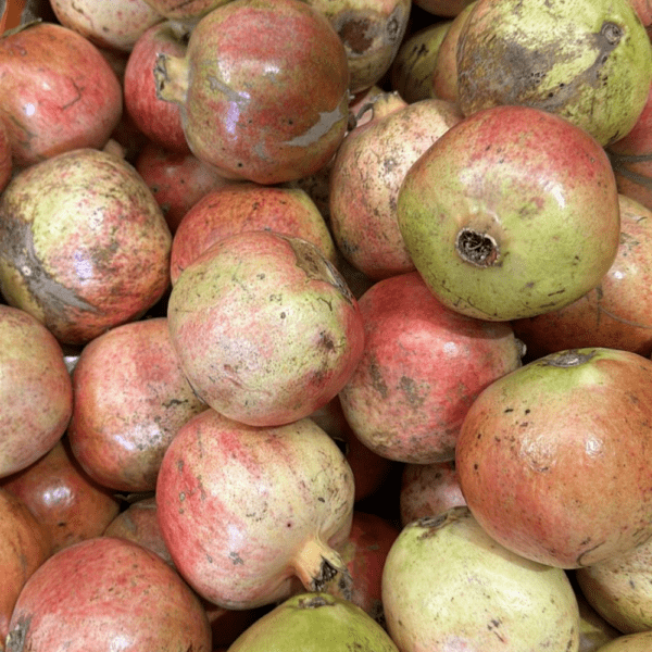 Yemen Pomegranate