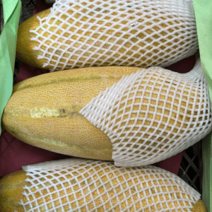 Iran Melon