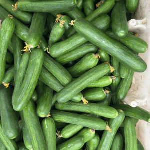 Local Cucumber