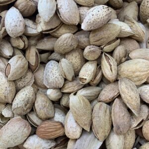 Almond Shell (America)