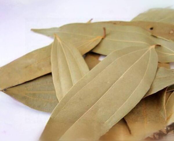 Bay Leaf