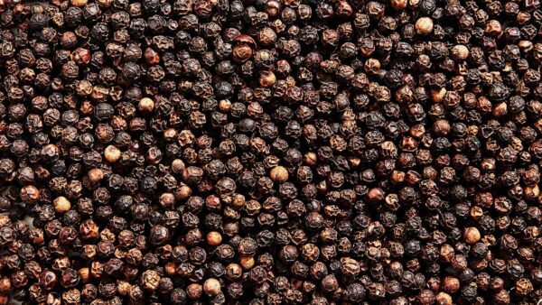 Black Pepper India