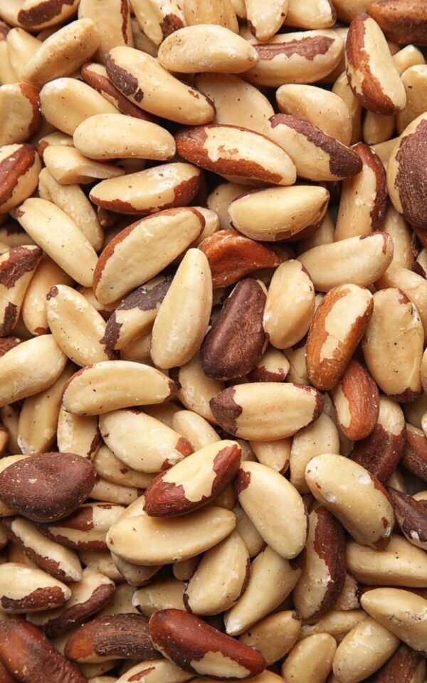 Brazil Nut Brazil