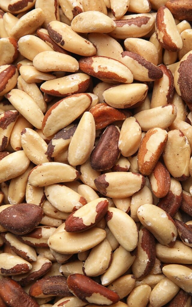 Brazil Nut