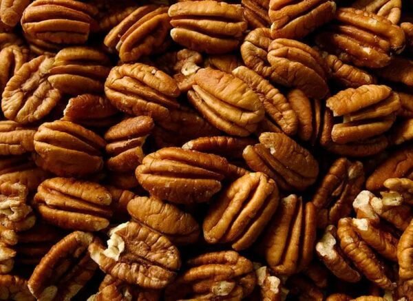 Pecan Nut Pakistan